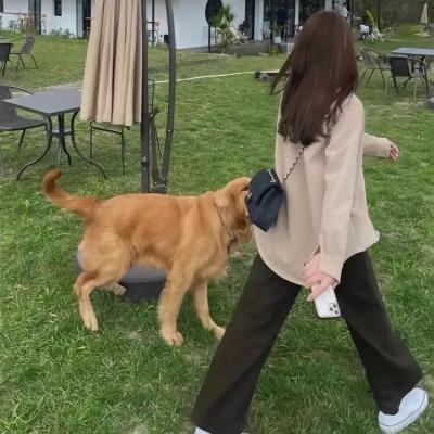 专精特新研究院第三季